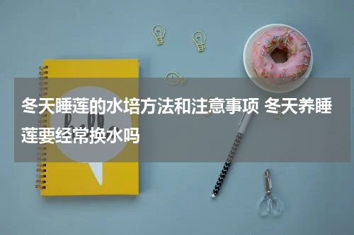 冬天睡莲的水培方法和注意事项 冬天养睡莲要经常换水吗