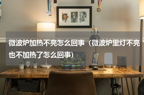 微波炉加热不亮怎么回事（微波炉里灯不亮也不加热了怎么回事）