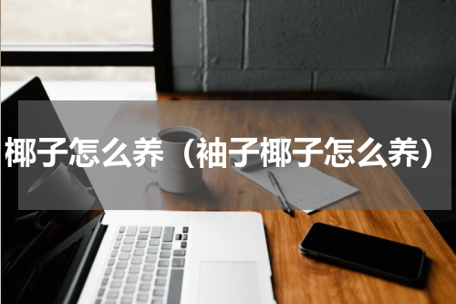 椰子怎么养（袖子椰子怎么养）