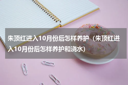 朱顶红进入10月份后怎样养护（朱顶红进入10月份后怎样养护和浇水）