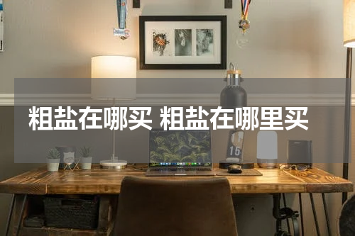 粗盐在哪买 粗盐在哪里买