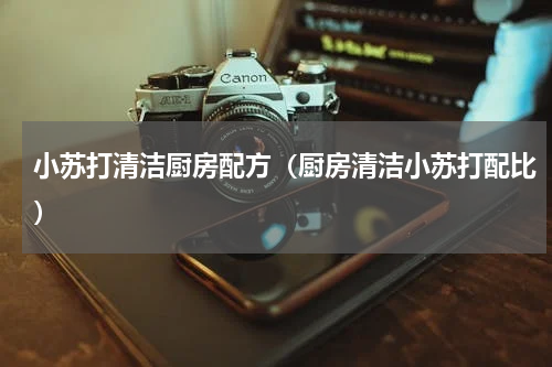 小苏打清洁厨房配方（厨房清洁小苏打配比）