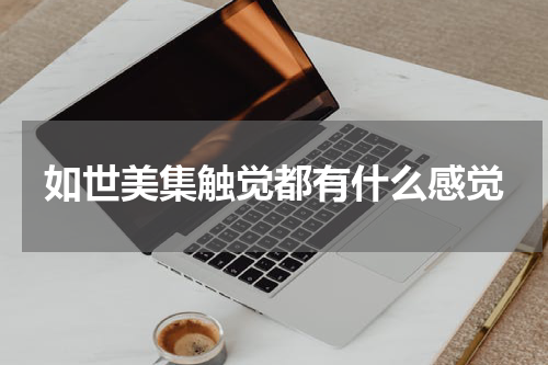 如世美集触觉都有什么感觉