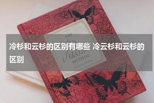 冷杉和云杉的区别有哪些 冷云杉和云杉的区别