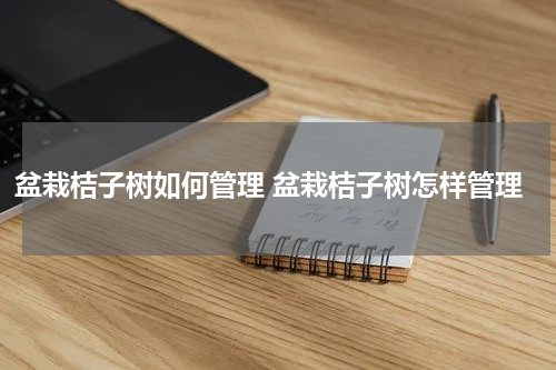 盆栽桔子树如何管理 盆栽桔子树怎样管理