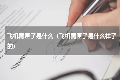 飞机黑匣子是什么（飞机黑匣子是什么样子的）