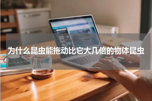 为什么昆虫能拖动比它大几倍的物体昆虫
