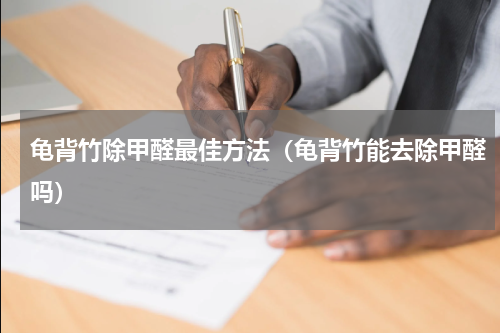 龟背竹除甲醛最佳方法（龟背竹能去除甲醛吗）