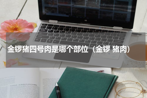 金锣猪四号肉是哪个部位（金锣 猪肉）