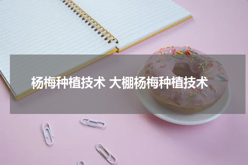 杨梅种植技术 大棚杨梅种植技术