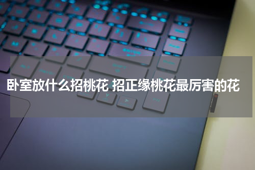 卧室放什么招桃花 招正缘桃花最厉害的花