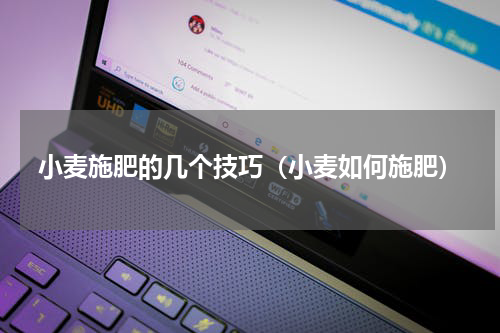 小麦施肥的几个技巧（小麦如何施肥）