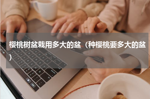 樱桃树盆栽用多大的盆（种樱桃要多大的盆）