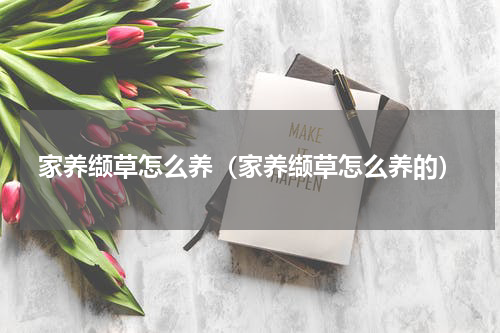 家养缬草怎么养（家养缬草怎么养的）
