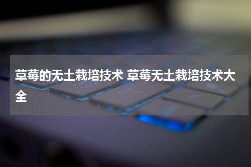草莓的无土栽培技术 草莓无土栽培技术大全