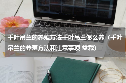 千叶吊兰的养殖方法千叶吊兰怎么养（千叶吊兰的养殖方法和注意事项 盆栽）