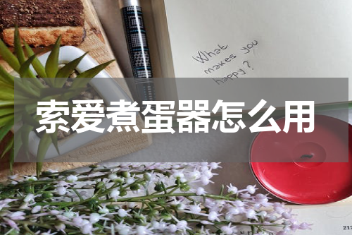 索爱煮蛋器怎么用