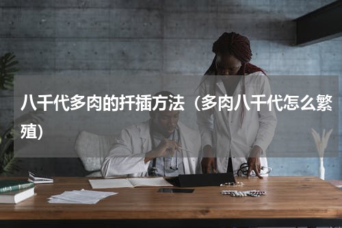 八千代多肉的扦插方法（多肉八千代怎么繁殖）