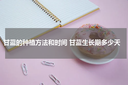 甘蓝的种植方法和时间 甘蓝生长期多少天