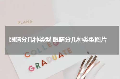 眼睛分几种类型 眼睛分几种类型图片