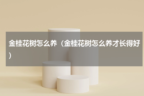 金桂花树怎么养（金桂花树怎么养才长得好）