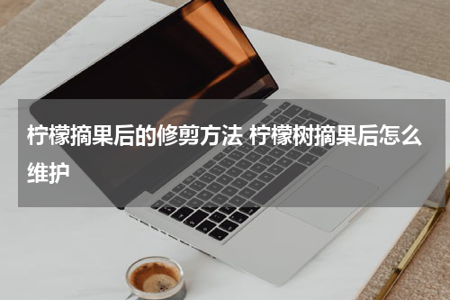 柠檬摘果后的修剪方法 柠檬树摘果后怎么维护