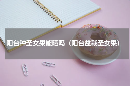 阳台种圣女果能晒吗（阳台盆栽圣女果）