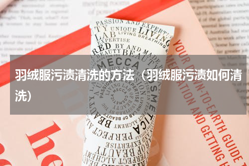 羽绒服污渍清洗的方法（羽绒服污渍如何清洗）