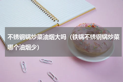 不锈钢锅炒菜油烟大吗（铁锅不锈钢锅炒菜哪个油烟少）