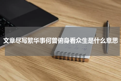 文章尽写繁华事何曾俯身看众生是什么意思