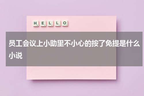 员工会议上小助里不小心的按了免提是什么小说