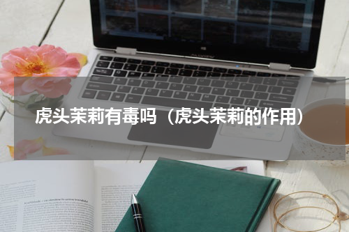 虎头茉莉有毒吗（虎头茉莉的作用）