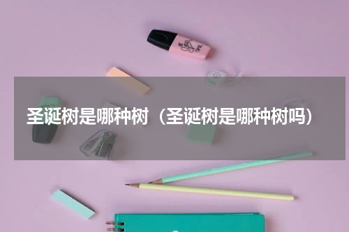 圣诞树是哪种树（圣诞树是哪种树吗）