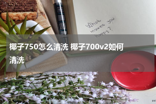 椰子750怎么清洗 椰子700v2如何清洗