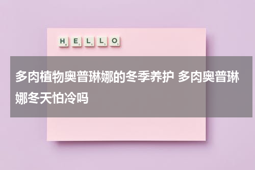 多肉植物奥普琳娜的冬季养护 多肉奥普琳娜冬天怕冷吗