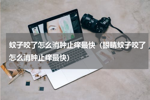 蚊子咬了怎么消肿止痒最快（眼睛蚊子咬了怎么消肿止痒最快）