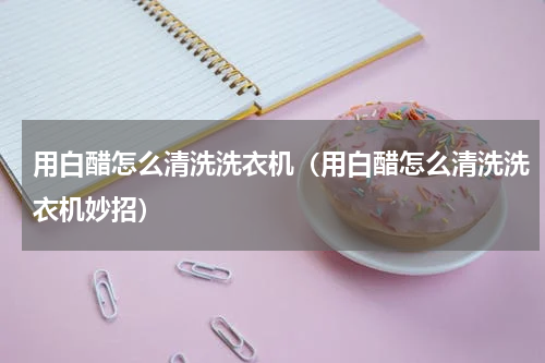 用白醋怎么清洗洗衣机（用白醋怎么清洗洗衣机妙招）
