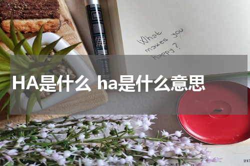 HA是什么 ha是什么意思