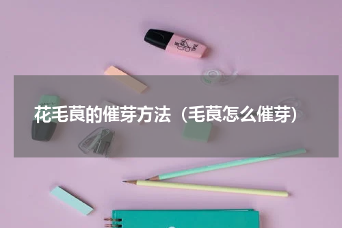 花毛茛的催芽方法（毛茛怎么催芽）