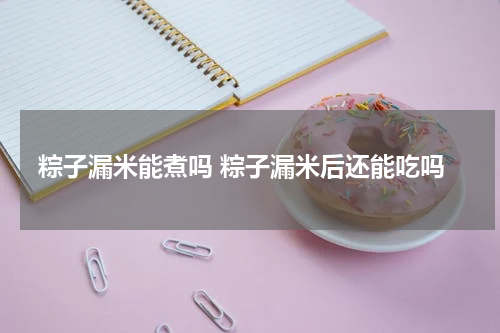 粽子漏米能煮吗 粽子漏米后还能吃吗