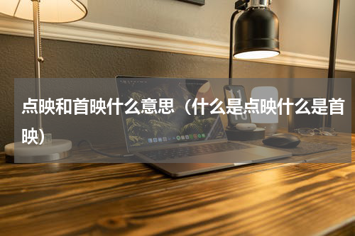 点映和首映什么意思（什么是点映什么是首映）