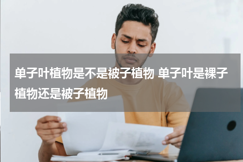 单子叶植物是不是被子植物 单子叶是裸子植物还是被子植物