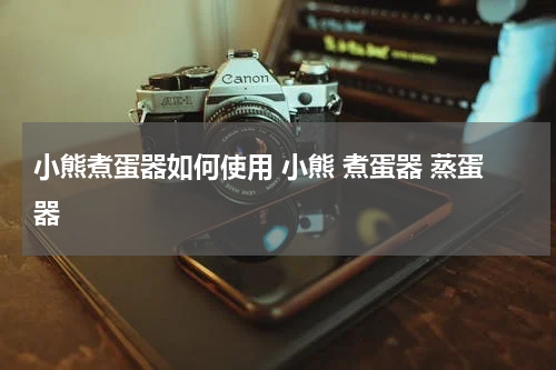 小熊煮蛋器如何使用 小熊 煮蛋器 蒸蛋器