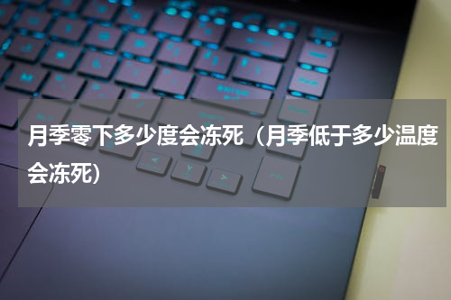 月季零下多少度会冻死（月季低于多少温度会冻死）