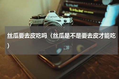 丝瓜要去皮吃吗（丝瓜是不是要去皮才能吃）
