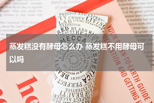 蒸发糕没有酵母怎么办 蒸发糕不用酵母可以吗