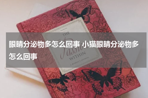 眼睛分泌物多怎么回事 小猫眼睛分泌物多怎么回事