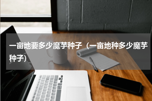 一亩地要多少魔芋种子（一亩地种多少魔芋种子）