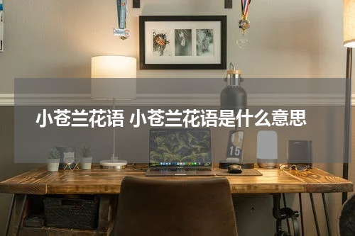 小苍兰花语 小苍兰花语是什么意思