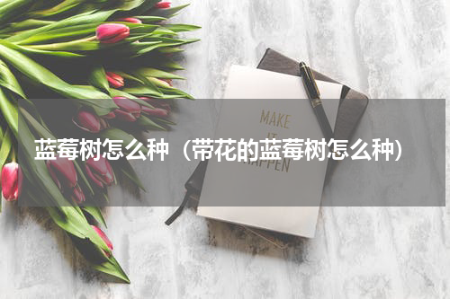蓝莓树怎么种（带花的蓝莓树怎么种）